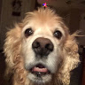 Meet your Posher, Faith